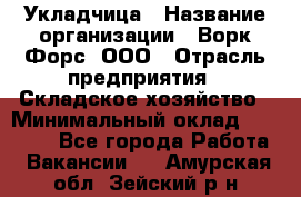 Укладчица › Название организации ­ Ворк Форс, ООО › Отрасль предприятия ­ Складское хозяйство › Минимальный оклад ­ 30 000 - Все города Работа » Вакансии   . Амурская обл.,Зейский р-н